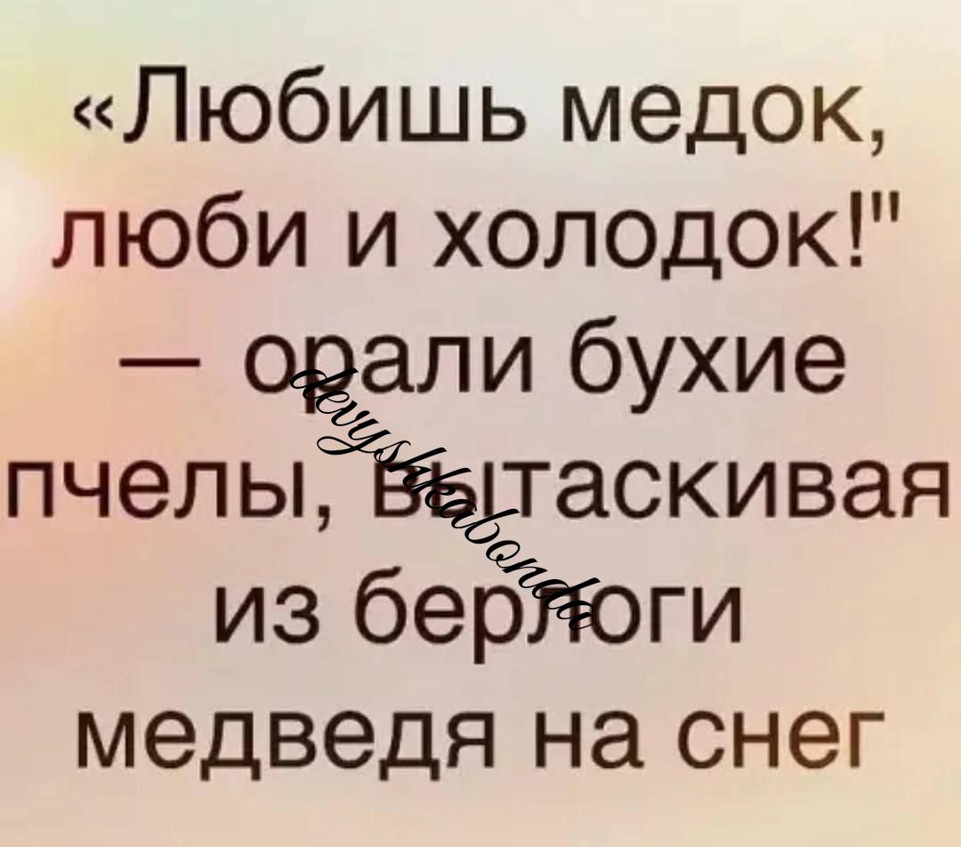 Любишь медок люби и холодок звали бухие пчелыТЁэдаскивая из бебіёоги медведя на снег
