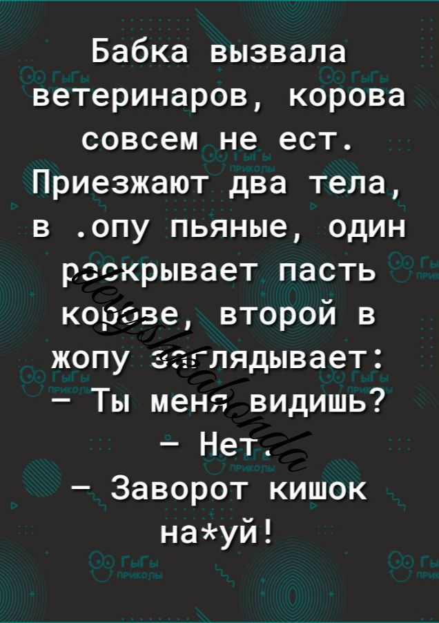 Бабка вызвала ветеринаров корова совсем не ест Приезжают два тела в опу пьяные один раскрывает пасть корове второй в жопу заглядывает Ты меня видишь Нет Заворот кишок науй