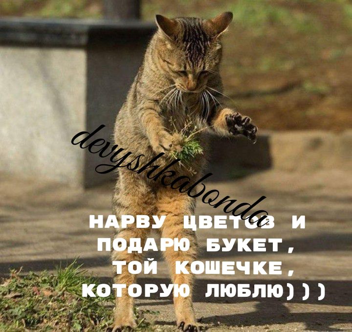 М и ___ гл вукнт