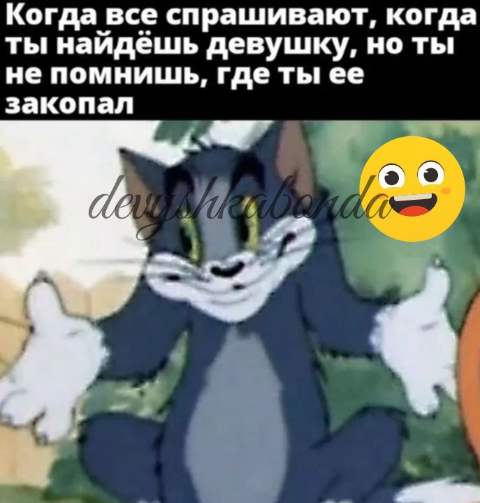Когда_ все спрашивают когда ты найдёшь девушку НО ты не ПОМНИШЬ где ты ЕЕ закопал