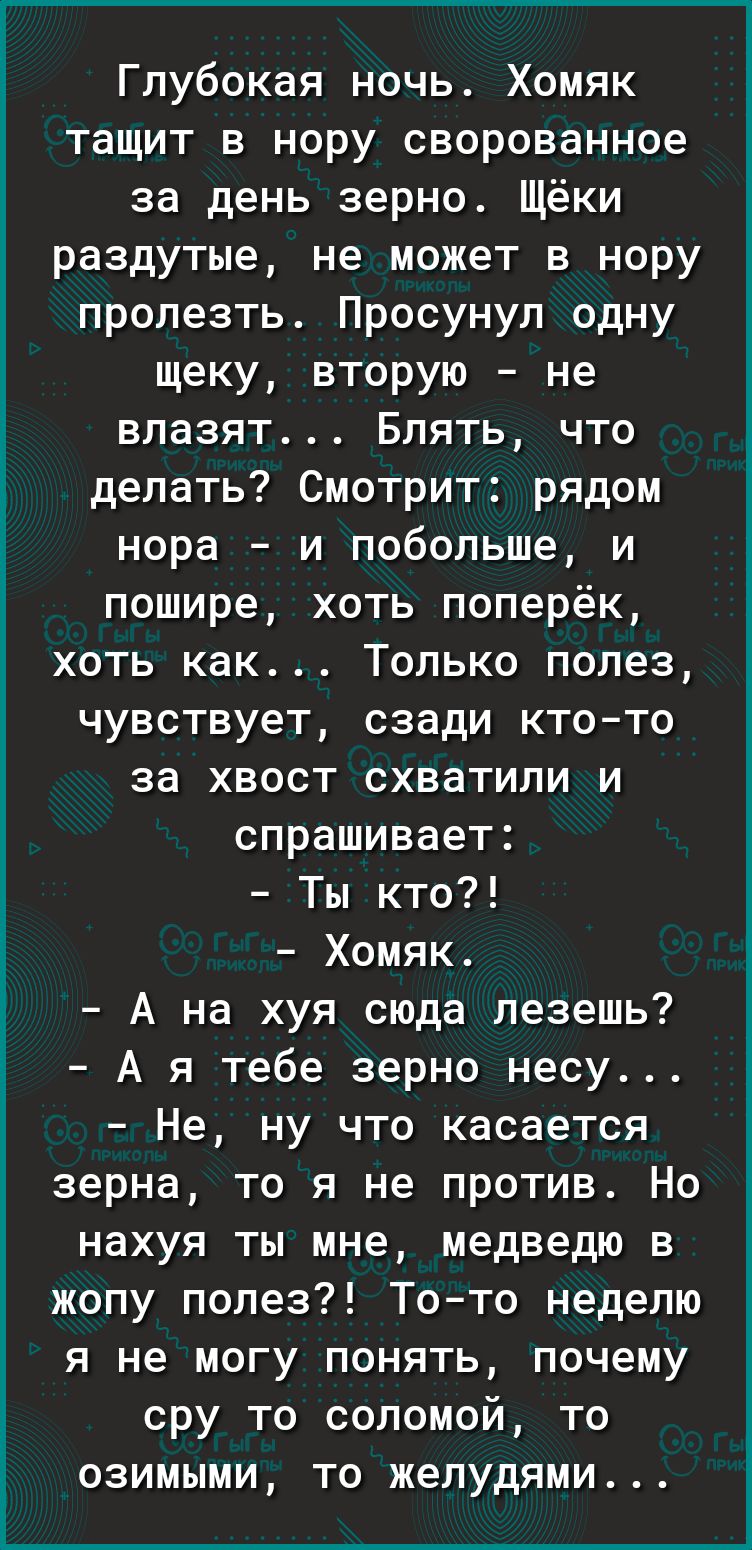 Глубокая ночь Хомяк тащит в нору сворованное за день зерно Щёки раздутые не может в нору пролезть Просунул одну щеку вторую не влазят Блять что делать Смотрит рядом нора и побольше и пошире хоть поперёк хоть как Только полез чувствует сзади кто то за хвост схватили и спрашивает Ты кто Хомяк А на хуя сюда лезешь А я тебе зерно несу Не ну что касается зерна то я не против Но нахуя ты мне медведю в ж