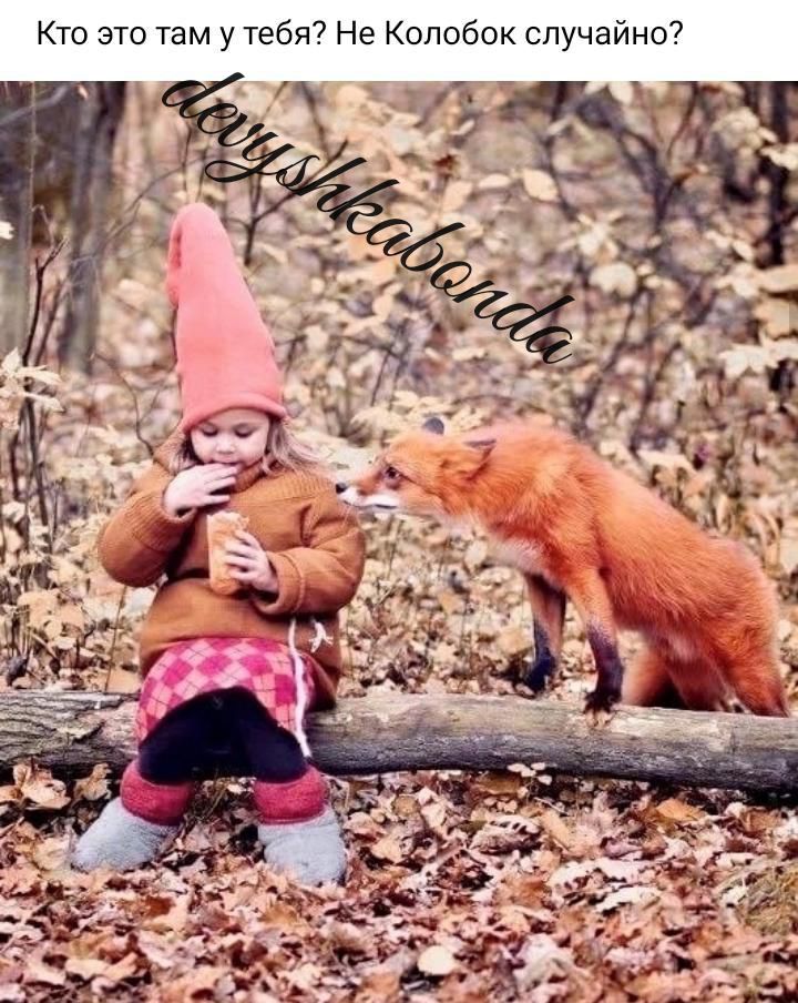 Кто это там у тебя Не Колобок случайно