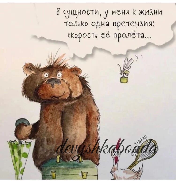 Всдщиостщу мыл к жи3ни Юшко одна пречснъия просп 56 пролёта