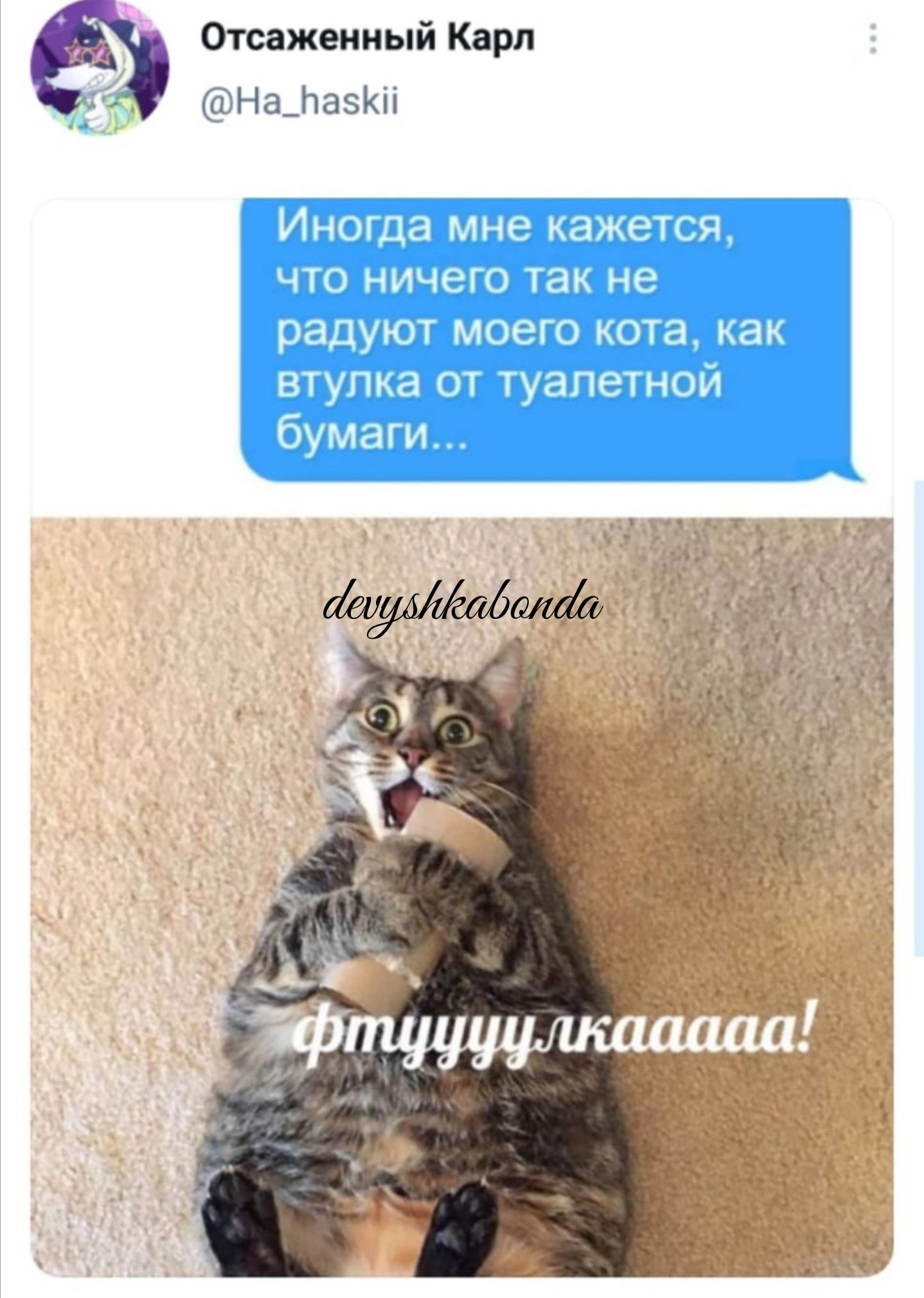 А Отсажеииый Карл иНзЩдБКН Иноуца мне кажется чш ничею так не радуют моего кота как втупка от туалетной бумаги