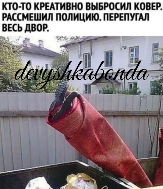 КТО ТО КРЕАТИВНО ВЫБРОСИЛ КОВЕР РАССМЕШИЛ ПОЛИЦИЮ ПЕРЕПУГАЛ ВЕСЬ ДВОР