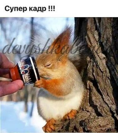 Супер кадр
