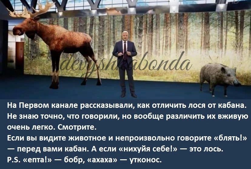 на Первом канале рпсипынми спличить мы и янв и Не знаю тички что юирили ип пибщв рнличигь их джи ую очень легко Смирин ш идите житии и иепрпиивлвни ширше блины перед вами не А или иихуйи ивы лось гв ем Бобр ших утионос
