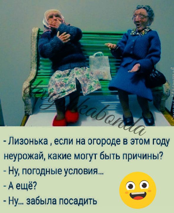 Лизонька если на огороде в этом году неурожай какие могут бьпь причины _ Ну погодные условия А ещё Ну забыла посадить