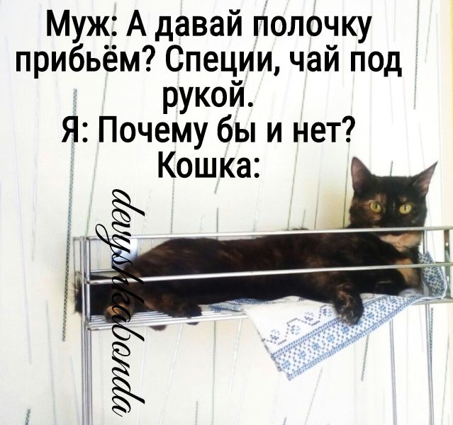 Муж А давай полочку прибьём Специи чай под рукой Я Почему бы и нет
