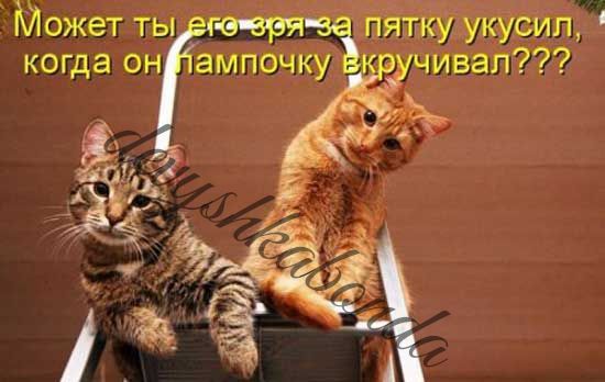 ожетты когда он ампочку пяггку укувип чивап