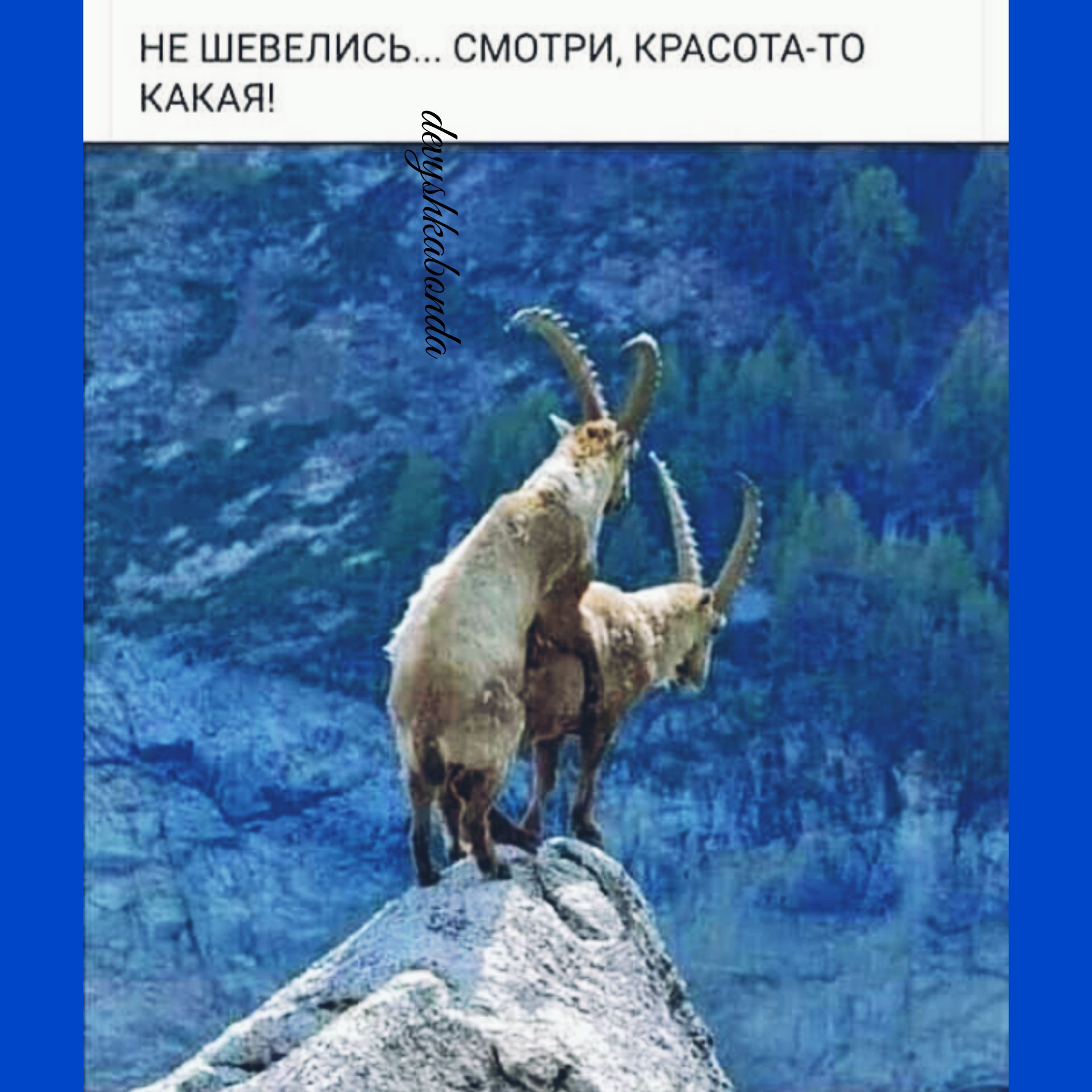 ОТР ь и п Е Ех ЕЯ ША Е н