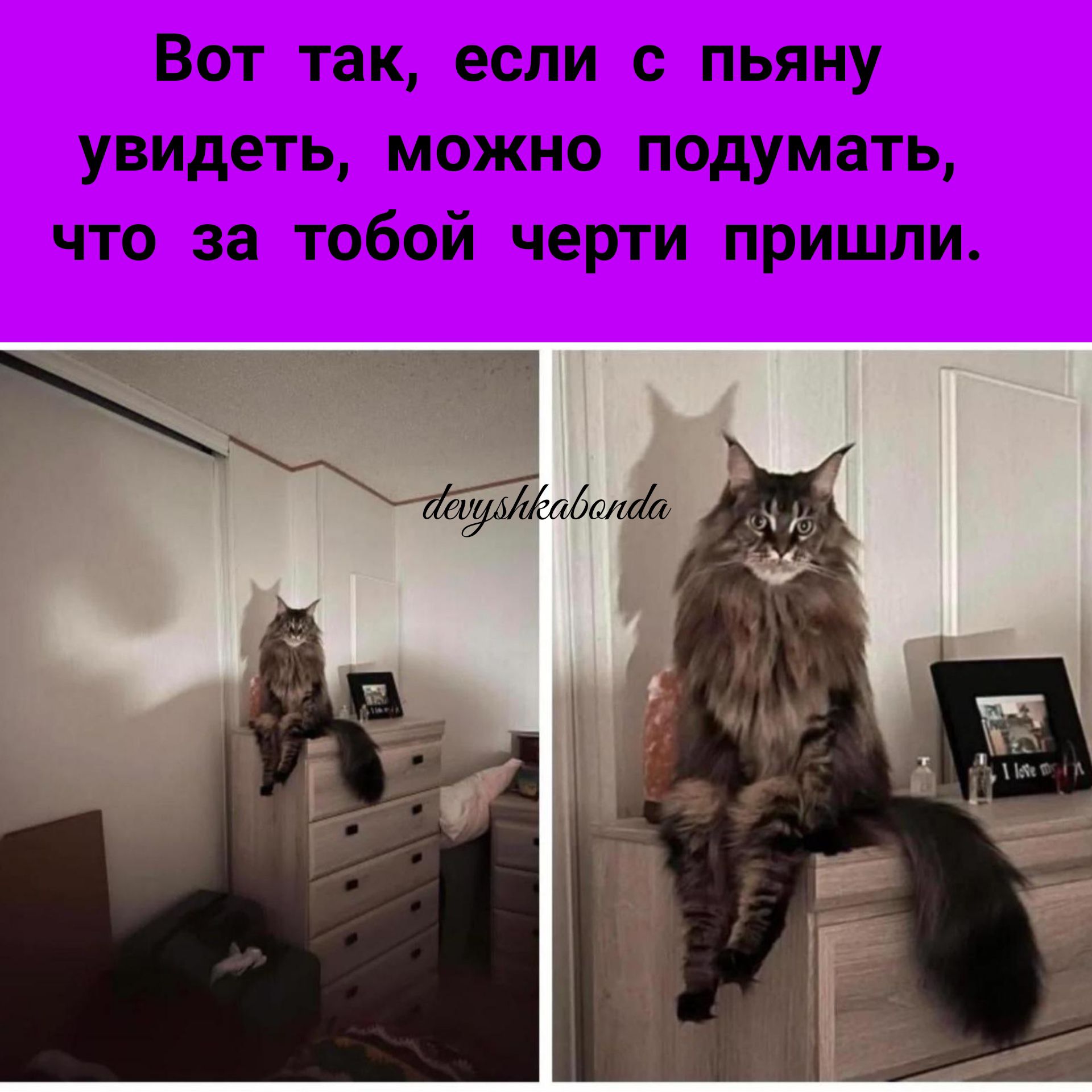 Вот так если с пьяну увидеть можно подумать что за тобой черти пришли и Ч
