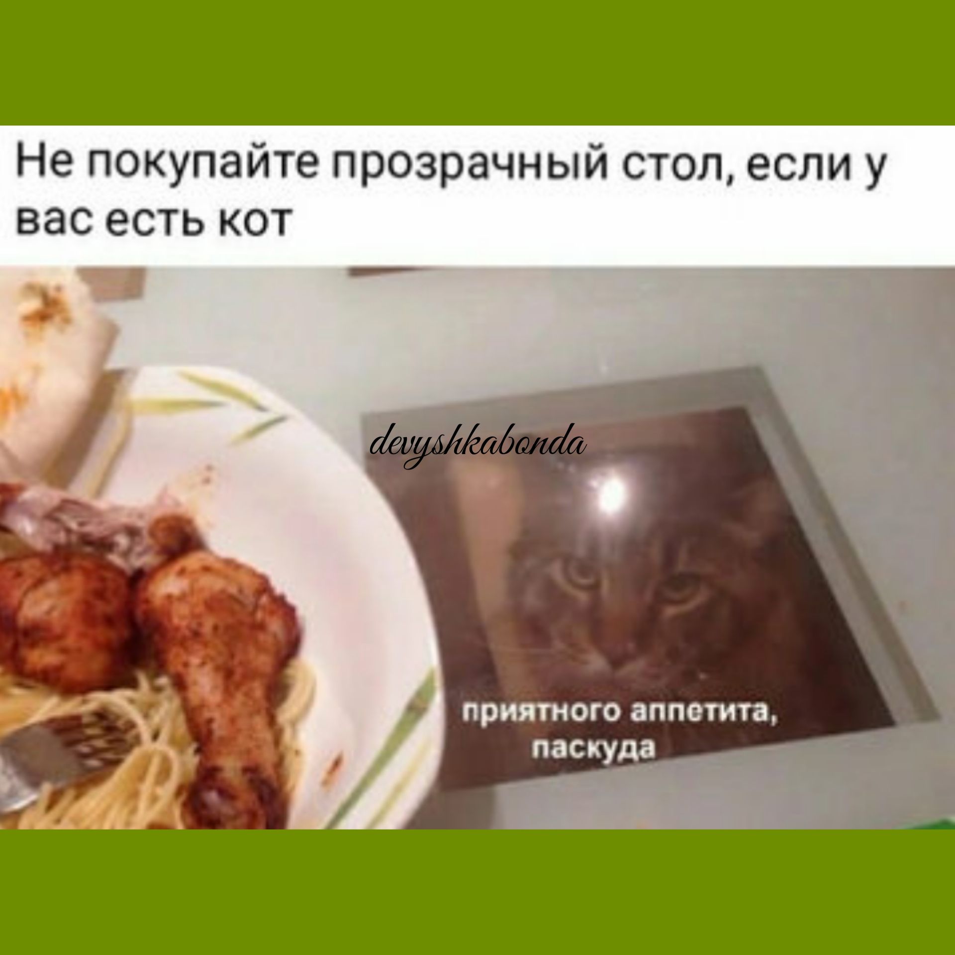 Не покупайте прозрачный стоп если у вас есть кот приятии аппетит пмкуда