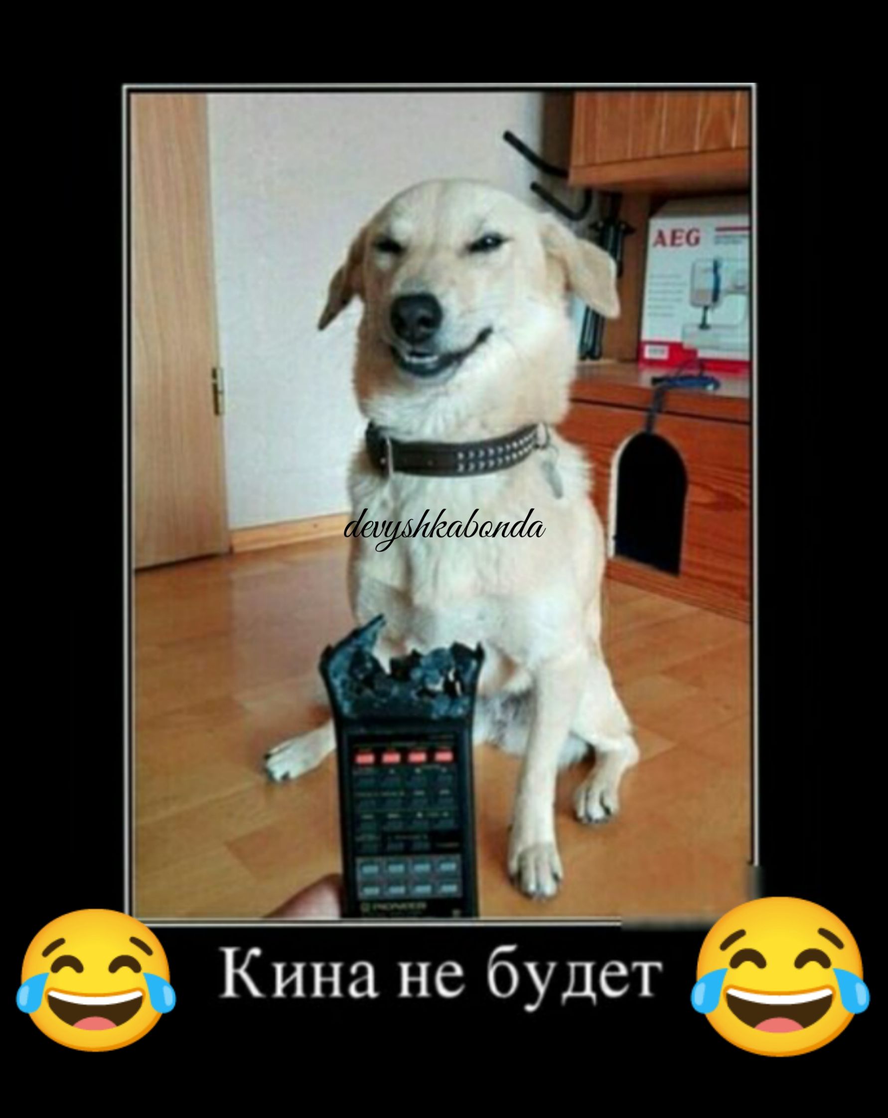 _ А _ 14 Кина не будет
