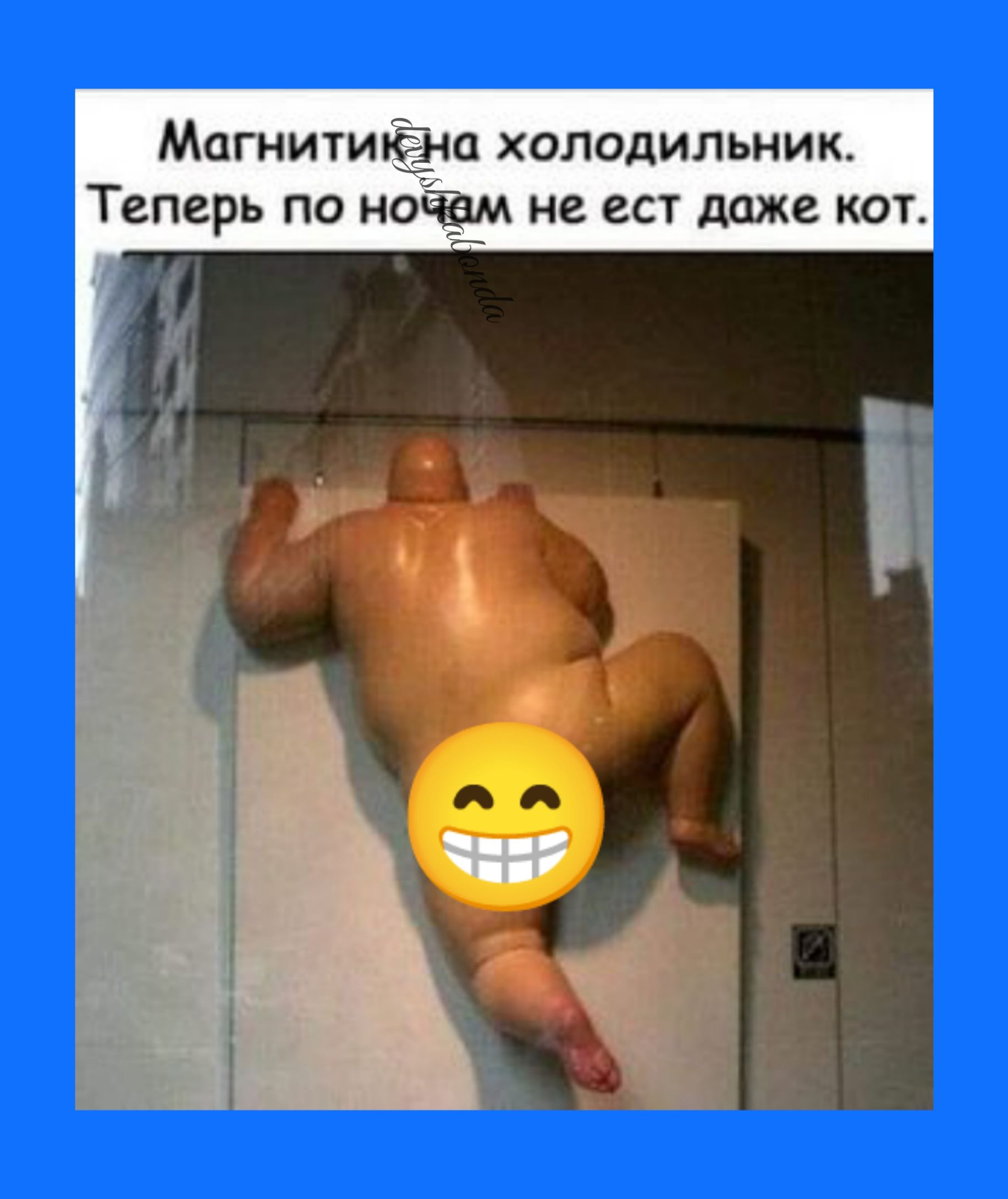 МагнитиЁна холодильник Теперь по ночам не ест даже кот