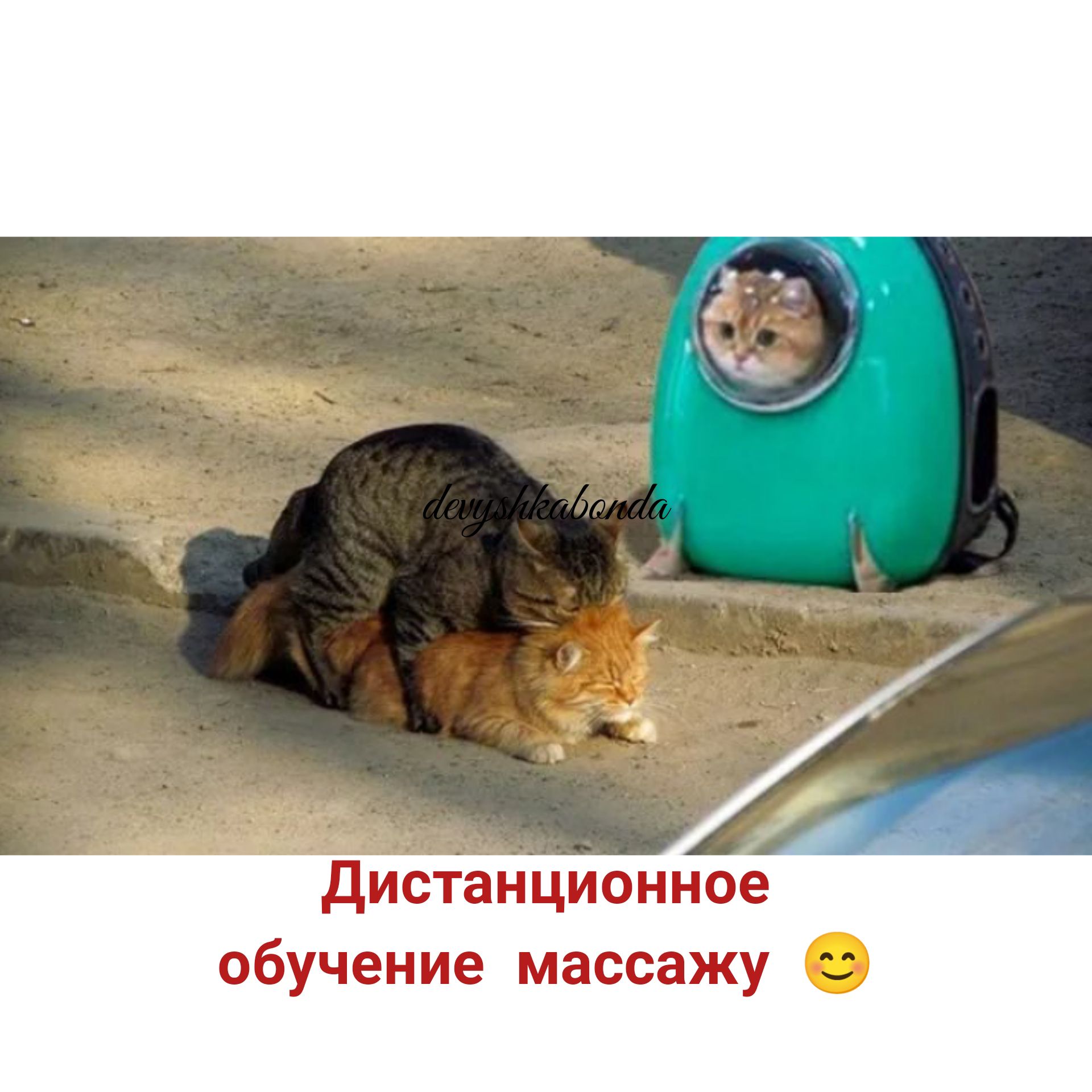 дистанционное обучение массажу