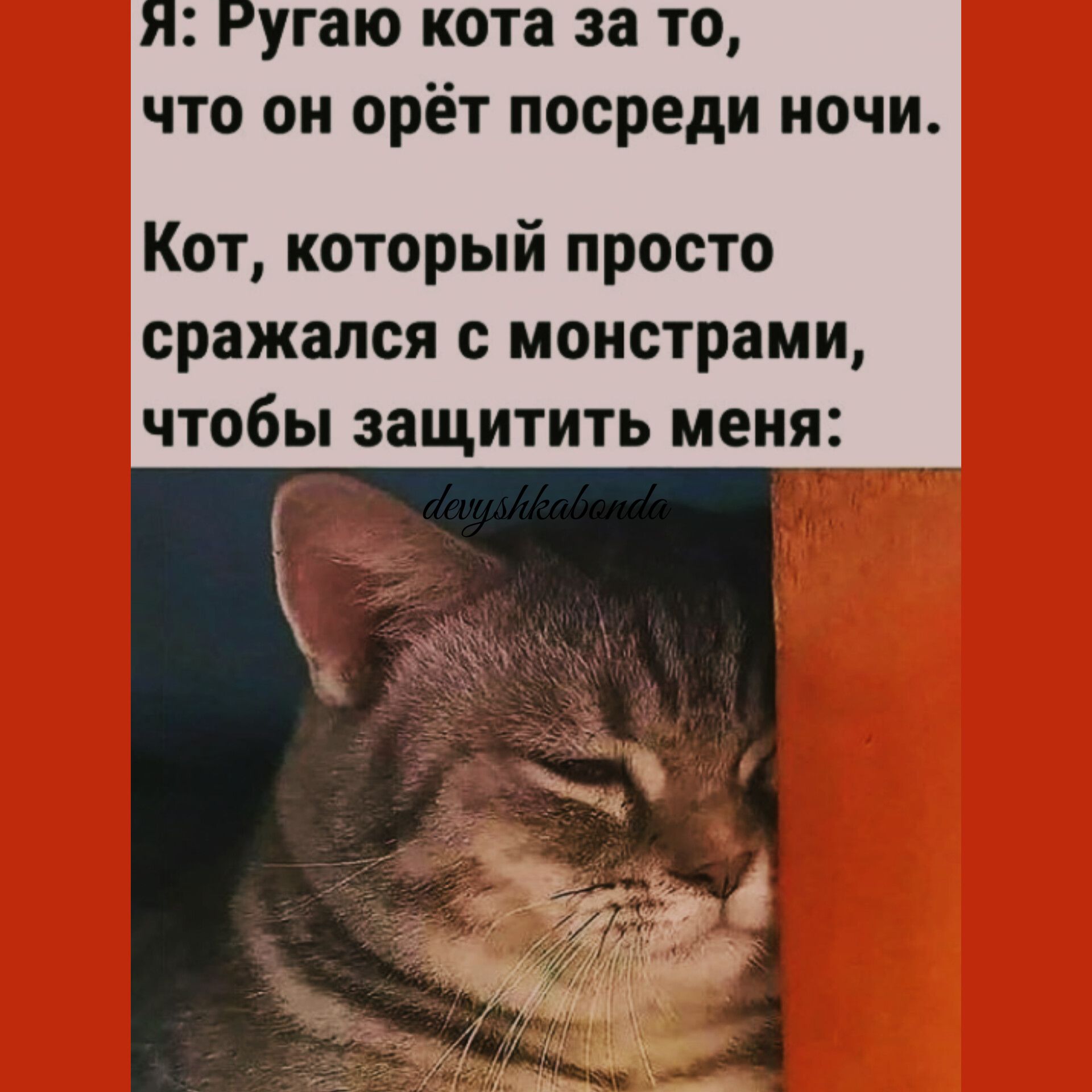 угаю кота за то что он орёт посреди ночи Кот который просто сражался с монстрами чтобы защитить меня