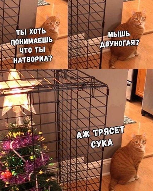 8 мышь душит