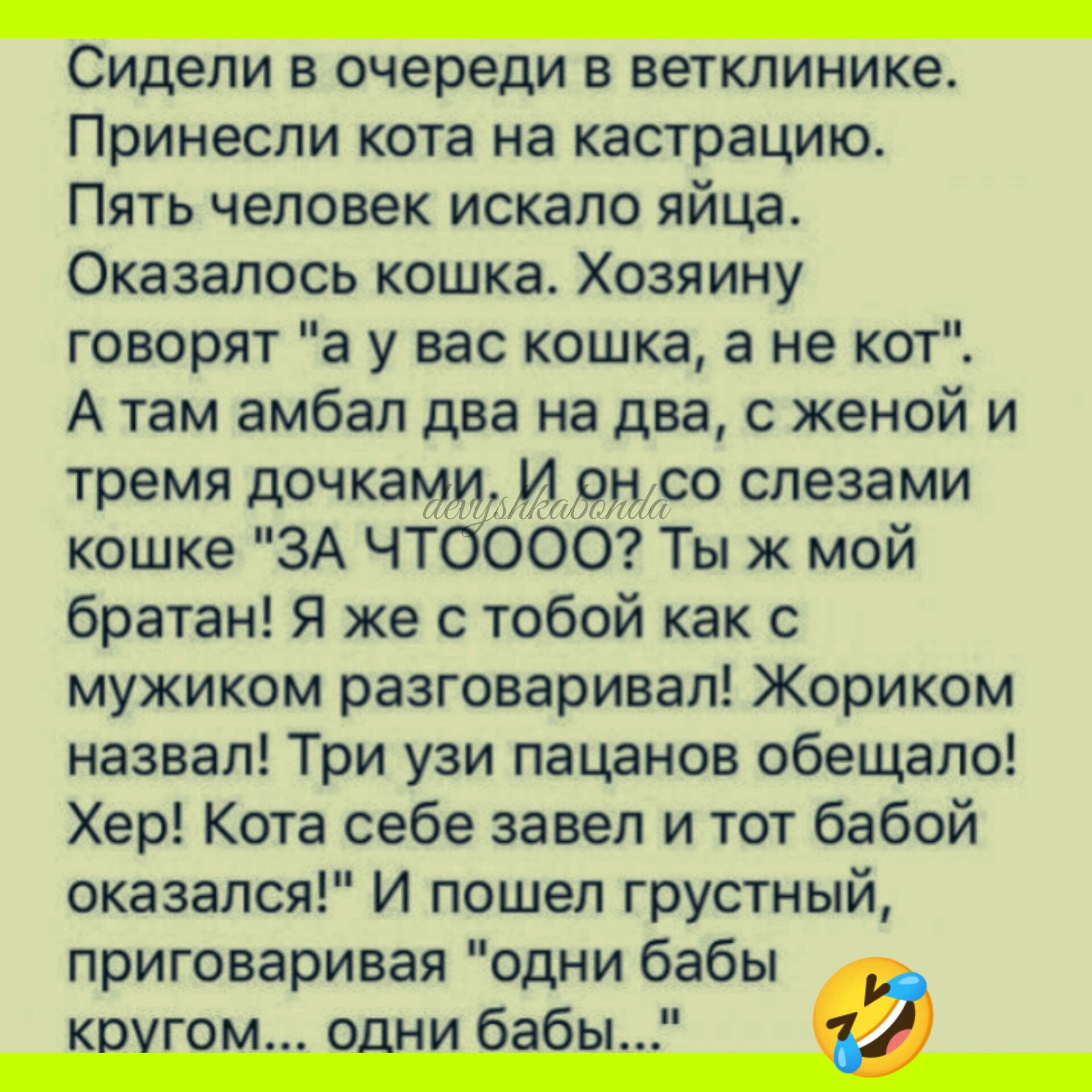 _ Сидели В очереди В ветклинике Принесли кота на кастрацию Пять человек искало яйца Оказалось кошка Хозяину говорят а у вас кошка а не кот А там амбал два на два с женой и Тремя дочкамиИ он со слезами кошке ЗА ЧТОООО Ты ж мой братан Я же с тобой как с мужиком разговаривал Жориком назвал Три узи пацанов обещало Хер Кота себе завел и тот бабой оказался И пошел грустный приговаривая одни бабы И