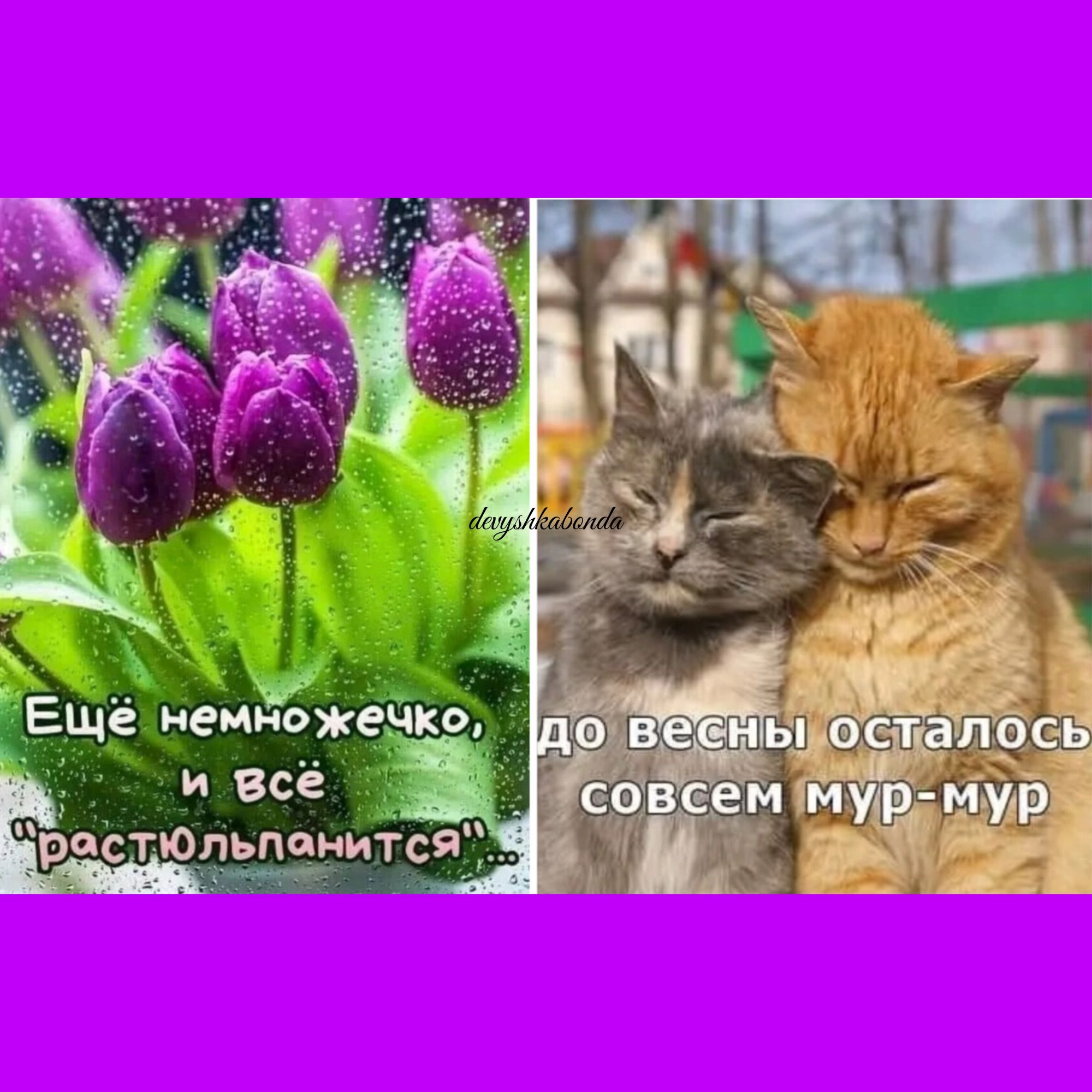 осталось 34 ьтгиік