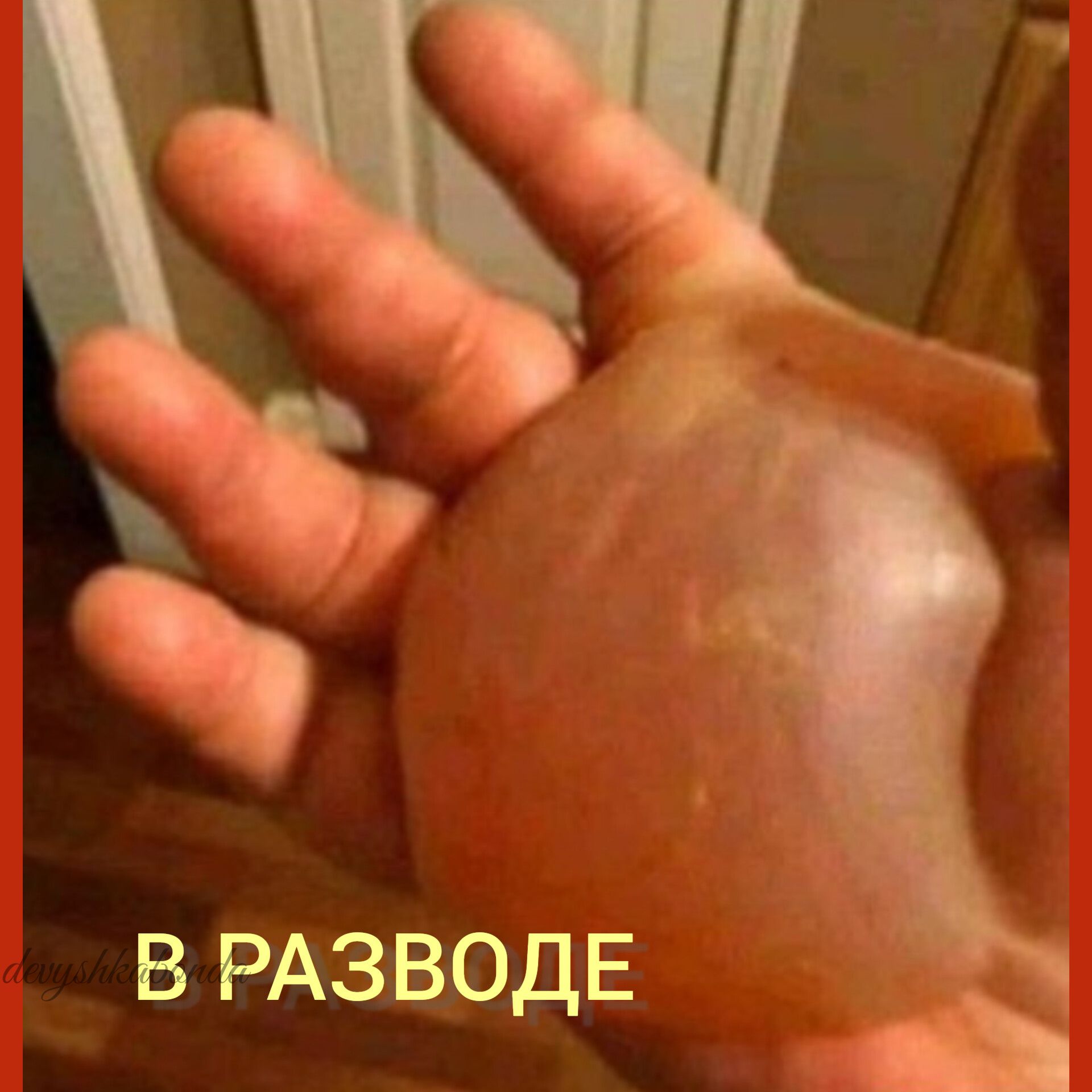 в РАЗВОДЕ