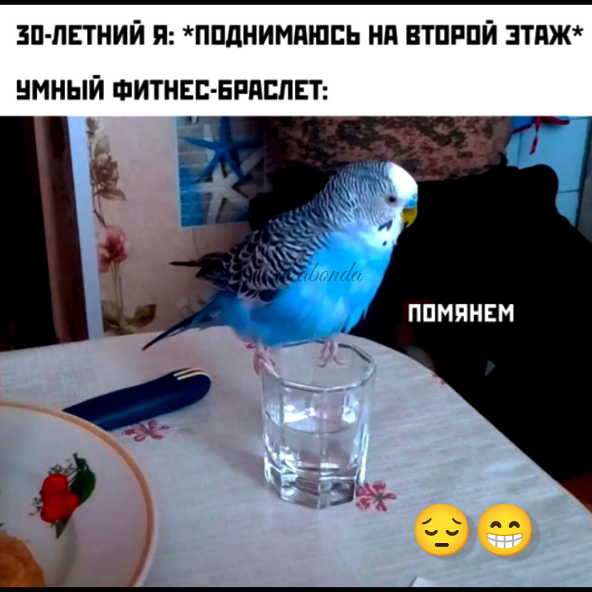 ЗП ПЕТНИЙ Я ППДНИМПШЕЬ Нд ЕТПРПЙ ЗТПЖ МНЫЙ ФИТНЕС БРИЕПЕТ ППМПИЕМ
