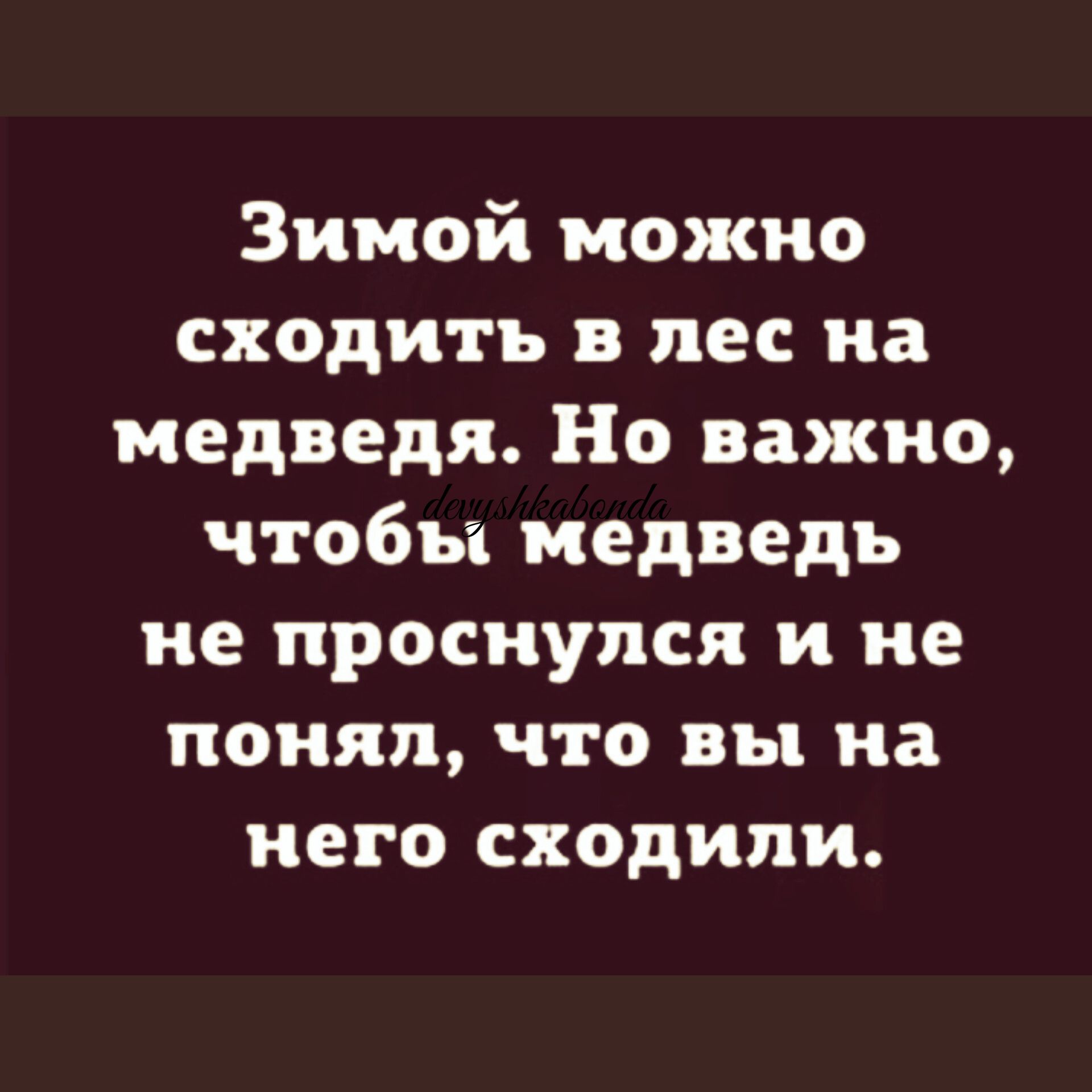 Зимой можно сходить в лес на медведя Но важно чтобы медведь не проснулся и не понял что вы на него сходили