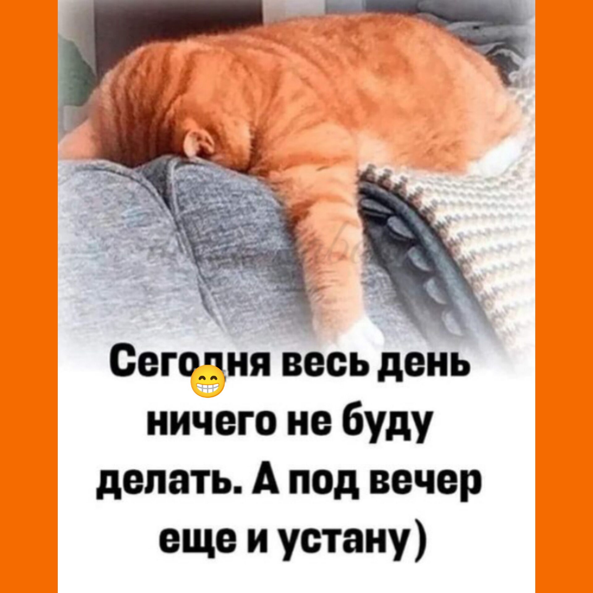 Сегодня весь день ничего не буду делать А под вечер еще и устану