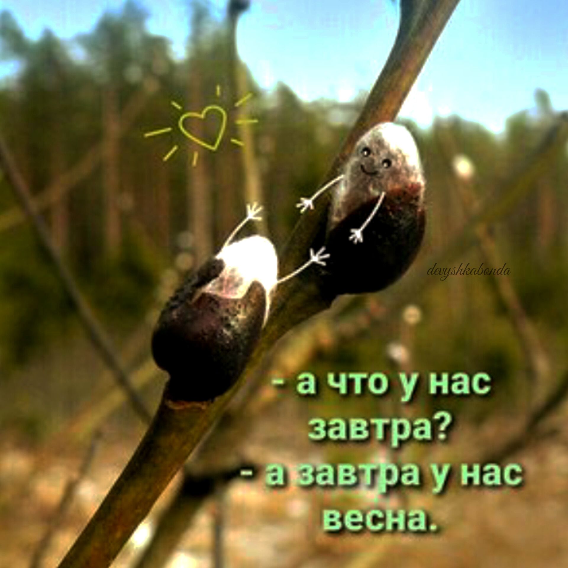 Фч а что у нас завтра за чулосй