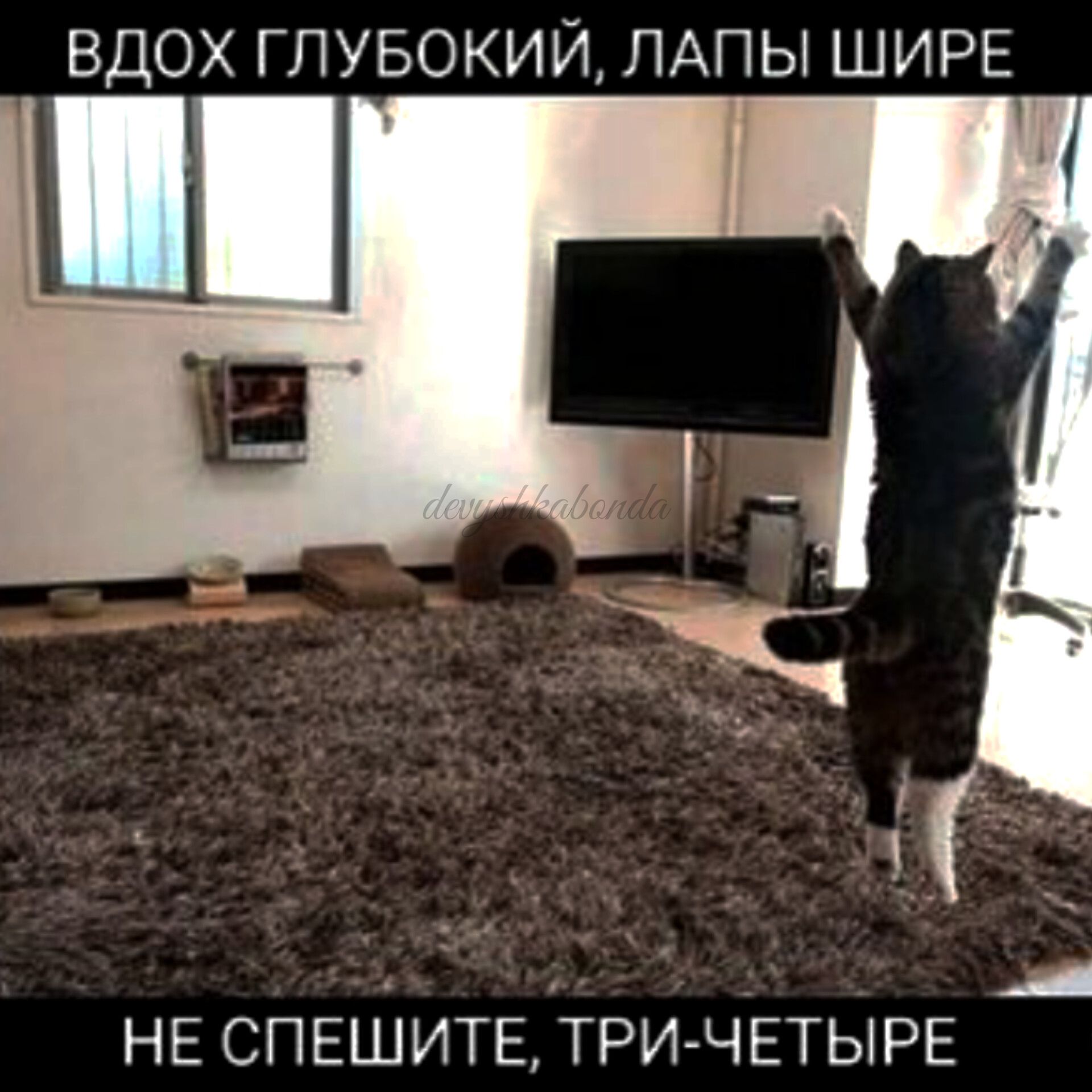 _ ВДОХ ГЛУБОКИЙ ПАПЫ ШИРЕ А НЕ СПЕШИТЕ ТРИ ЧЕТЫРЕ