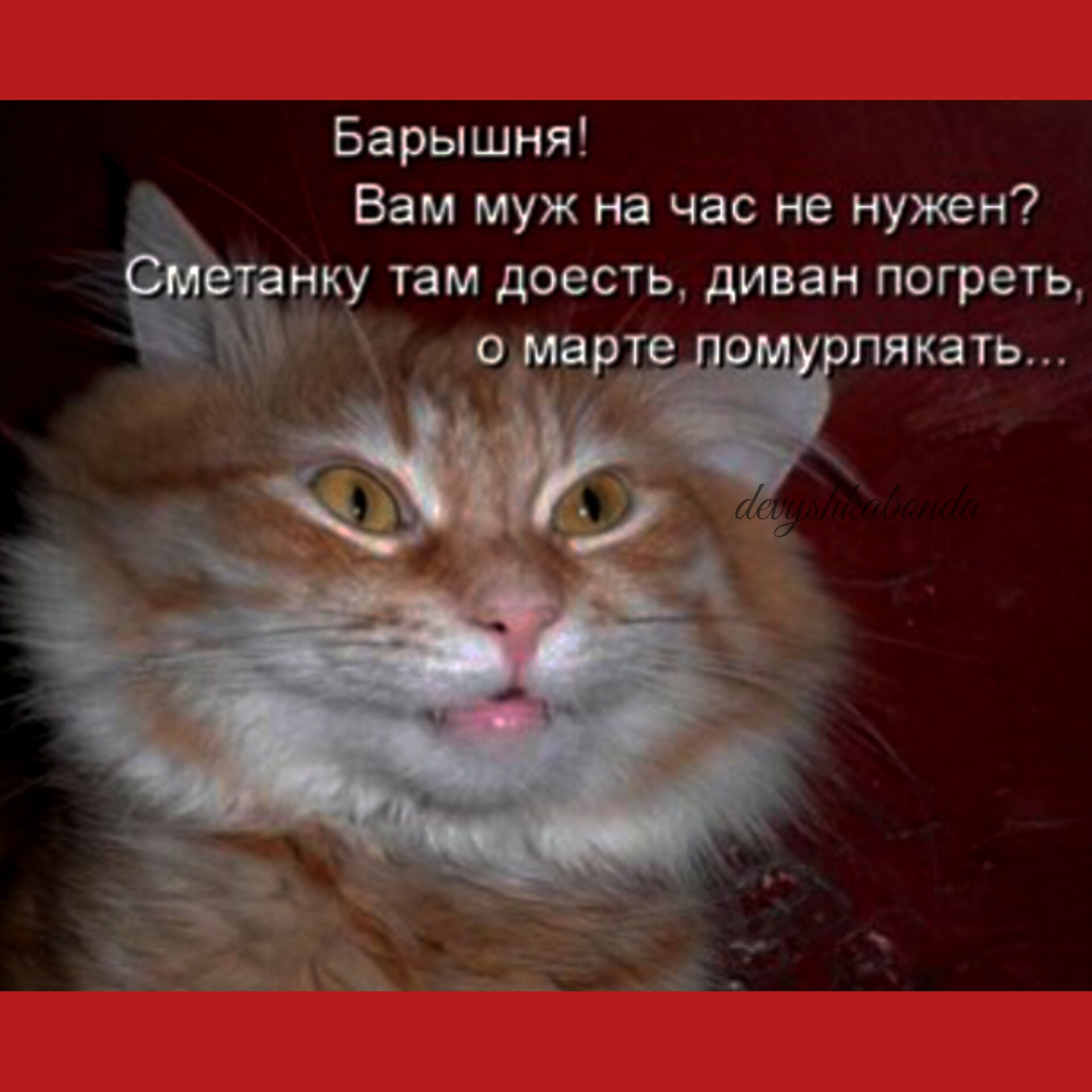 Барышня Вам муж на час не нужен нку там доесть диван погреть