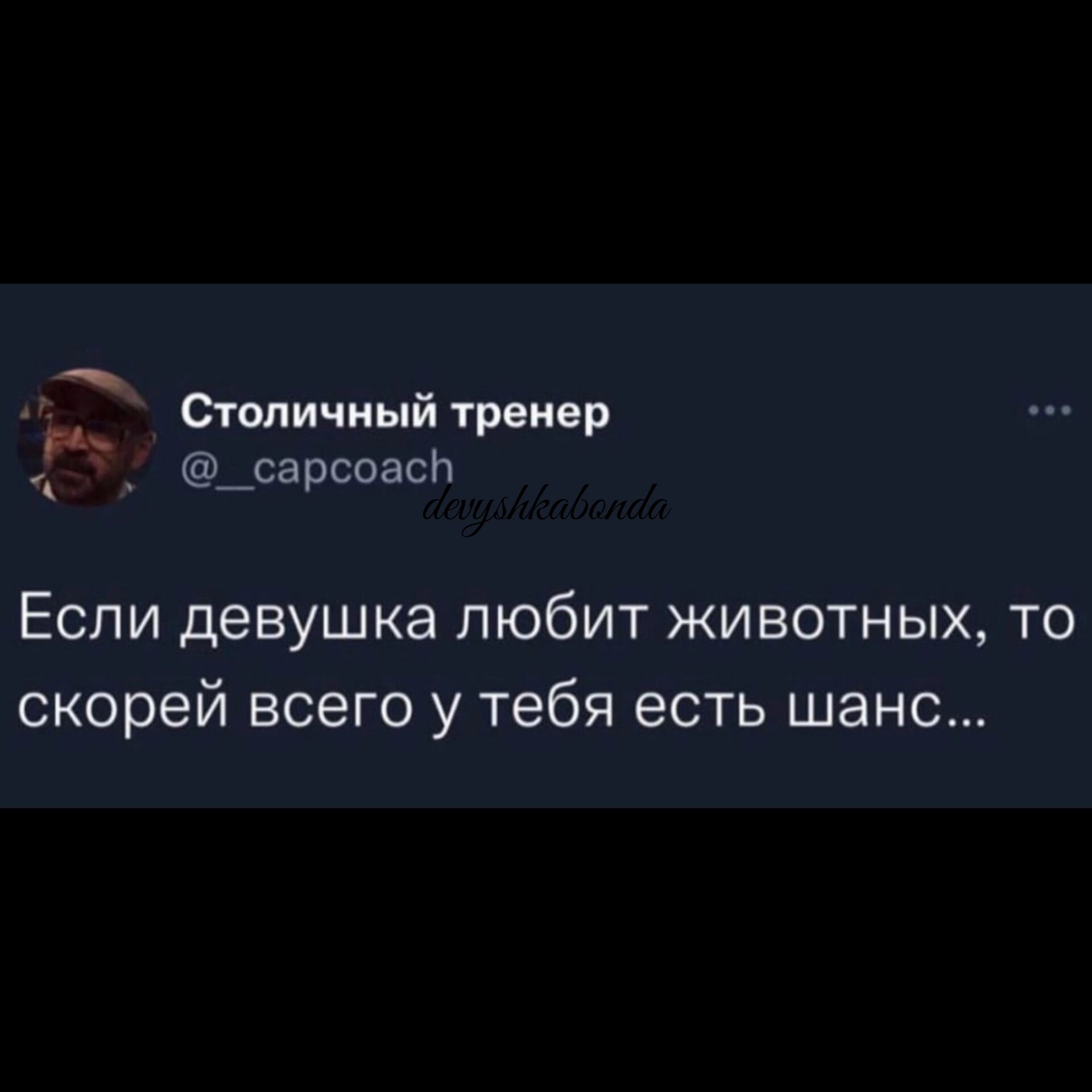 йопичиый тренер _сарсоасч Если девушка любит животных то скорей всего у  тебя есть шанс - выпуск №1865169