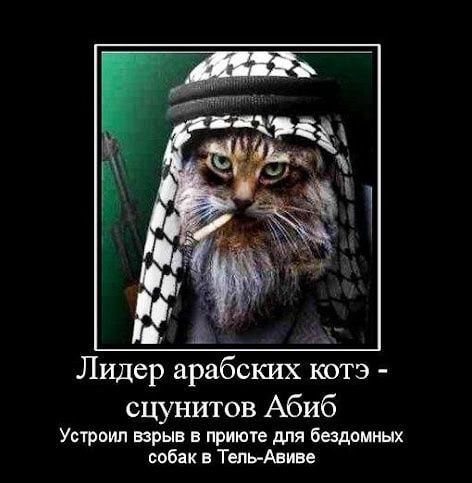 А _ Лидер арабских кагэ сцунитов Абиб Устроим взрыв в приюте для бездомных собак Тень Авни