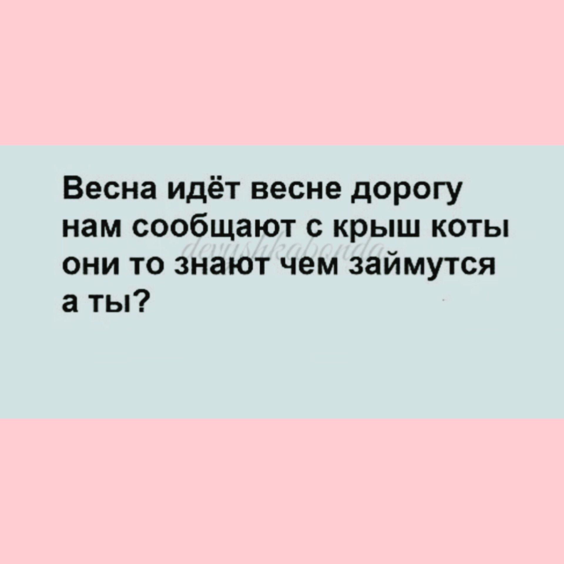 Весна идёт весне дорогу нам сообщают крыш коты они то знают чем займутся а ты