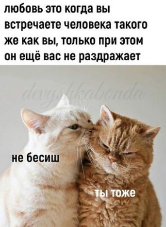 любовь это когда вы встречаете человека такого же как вы только при этом он ещё вас не раздражает