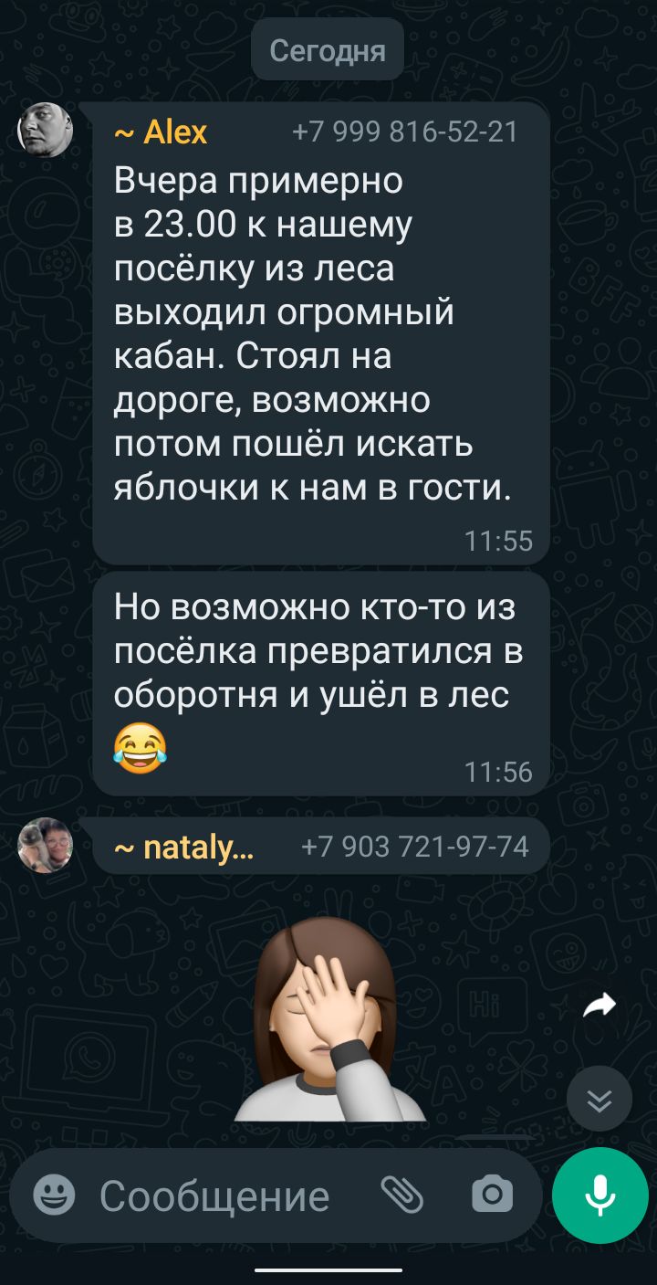 Сегодня Аех 7 999 81652 21 Вчера примерно в 2300 к нашему посёлку из леса выходил огромный кабан Стоял на дороге возможно потом пошёл искать яблочки к нам в гости 155 Но возможно ктото из посёлка превратился в оборотня и ушёл в лес П156 паіаіу 7 903 721 97 74 9 Сообщение а