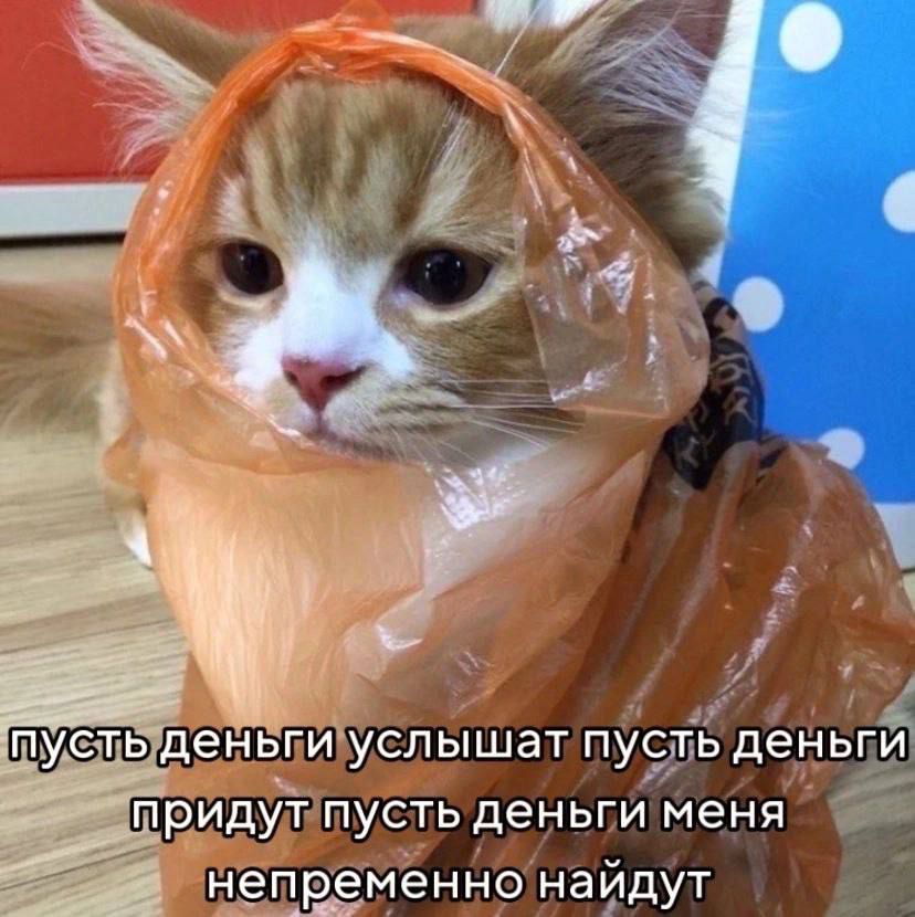 ДЭНБГИ УСЛЫШЗТ ПУСТПЬ деньгЙ _ ПрИДуТ ПУСТЬ ДЕНЬГИ меня непременно натдут