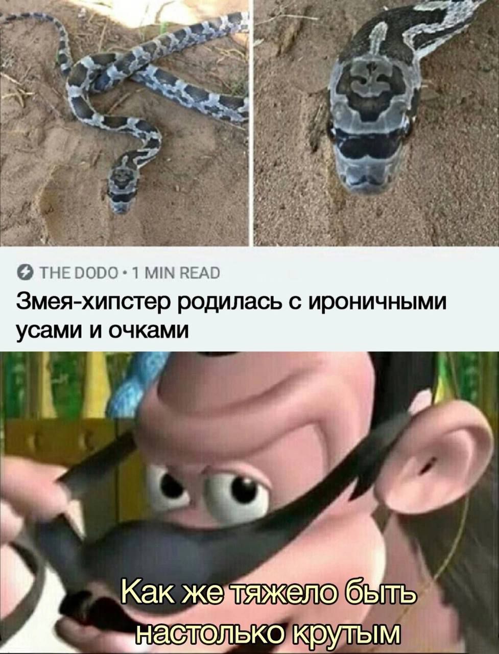 о мны Змея хипстер родилась ироничными усами И ОЧКЗМИ