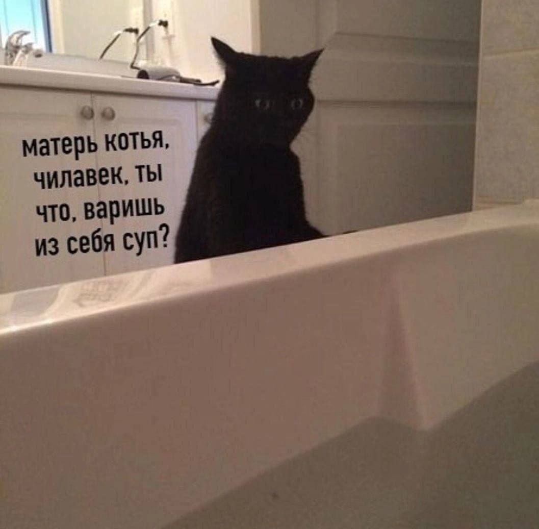 матерь котья, чилавек, ты что, варишь из себя суп?