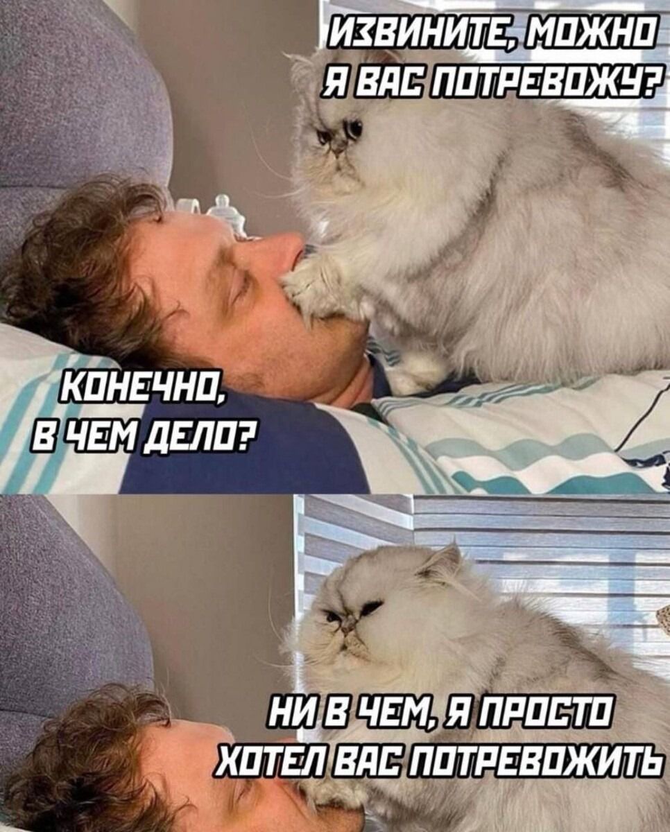 ИЗВИНИТЕ, МОЖНО Я ВАС ПОТРЕБУЮ?
КОНЕЧНО, В ЧЕМ ДЕЛО?
НИ В ЧЕМ, Я ПРОСТО ХОТЕЛ ВАС ПОТРЕБОВАТЬ