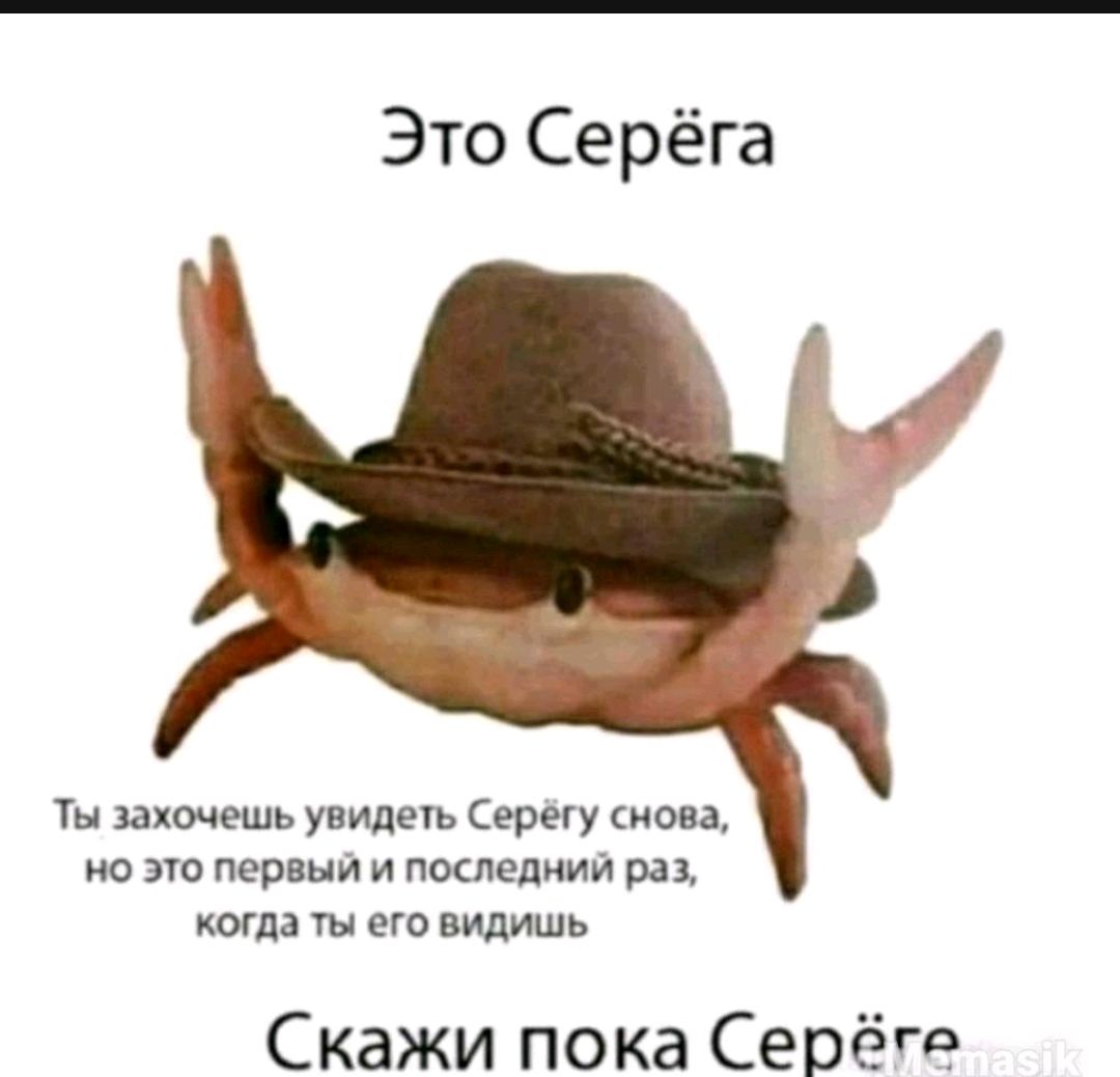 Это Серёга Ты захочешь увидеш Сереку сноп но эт первый и пошел мии рп шла ты его видишь Скажи пока Серёге