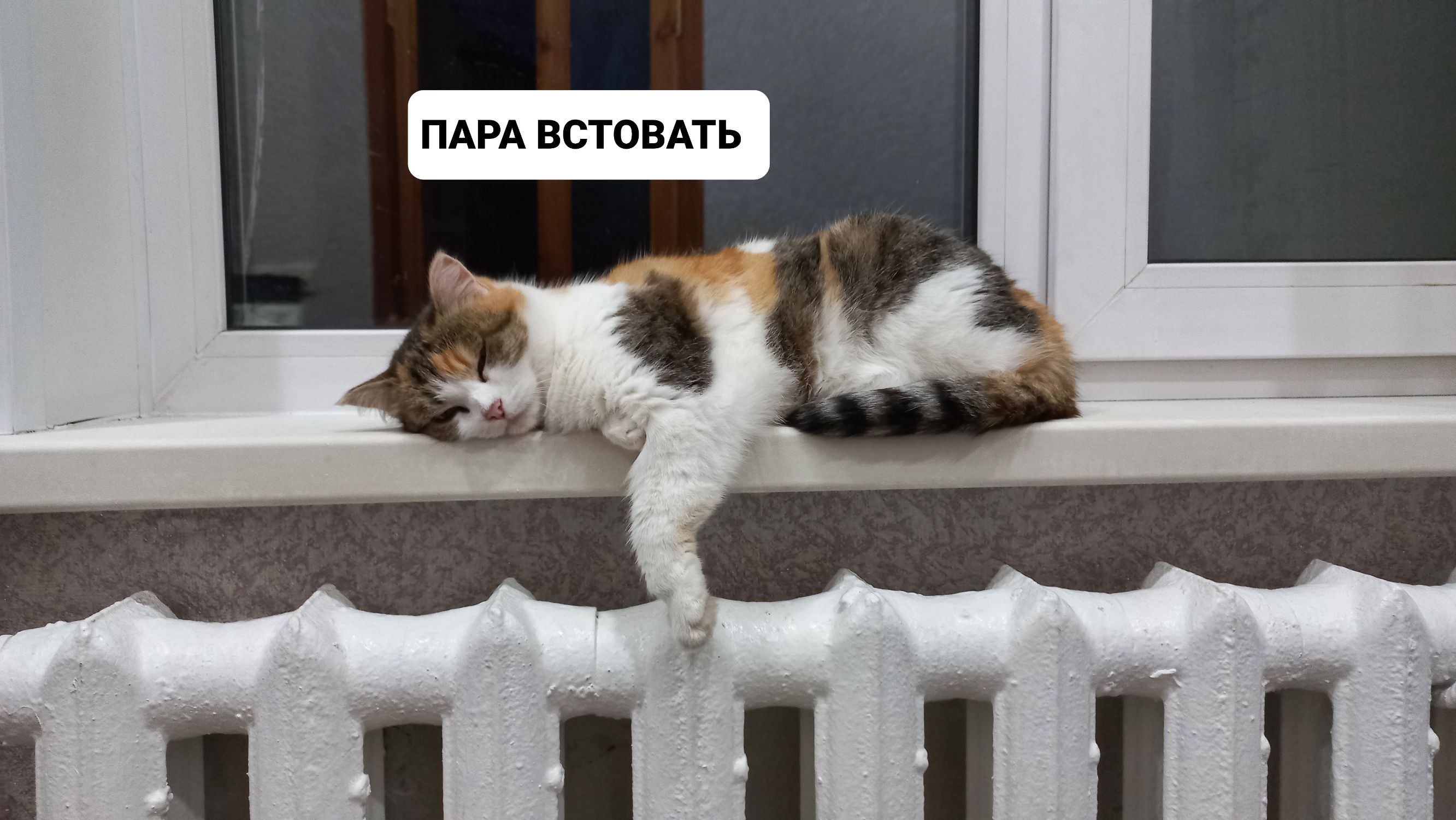 мм встань