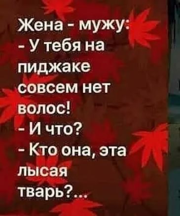 1 Жена мужу У тебя на ПИ жаке сем нет __пос И что она эта тварь