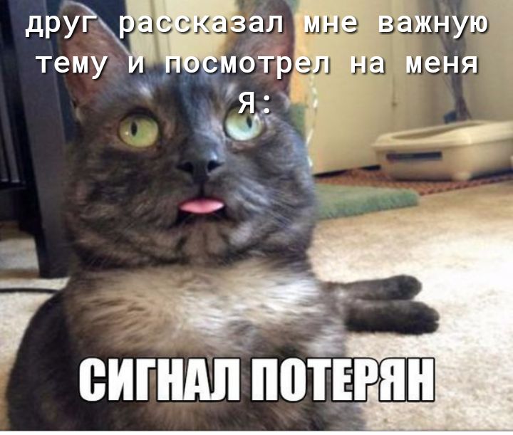еигндпіютвгпн