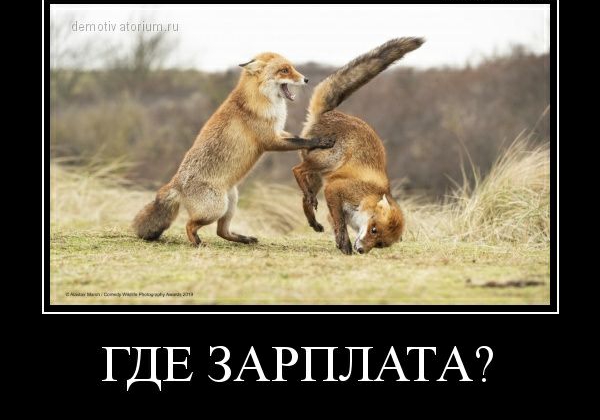 ГДЕ ЗАРПЛАТА
