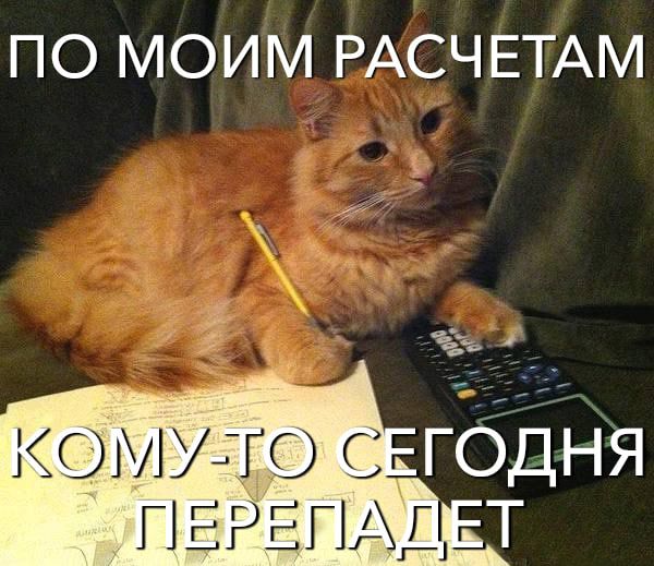 ПО МОИМ РАСЧЕТАМ