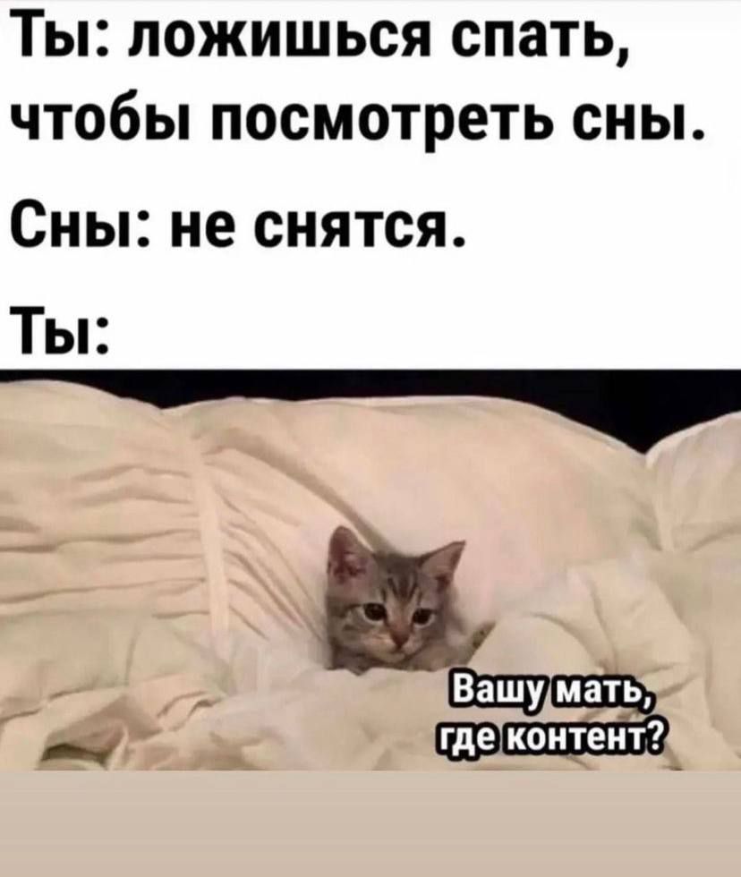 Ты пожишься спать чтобы посмотреть сны Сны не снятся
