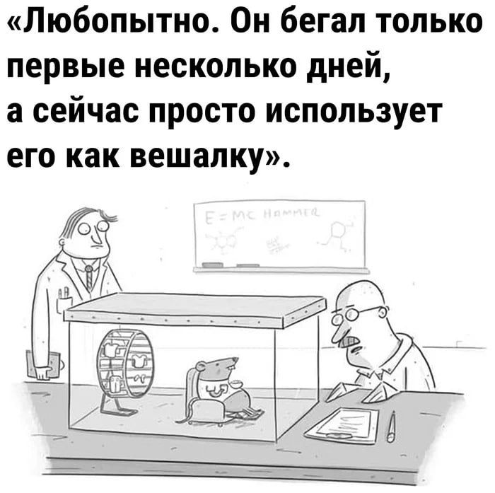 Любопытно Он бегал только первые несколько дней а сейчас просто использует его как вешалку