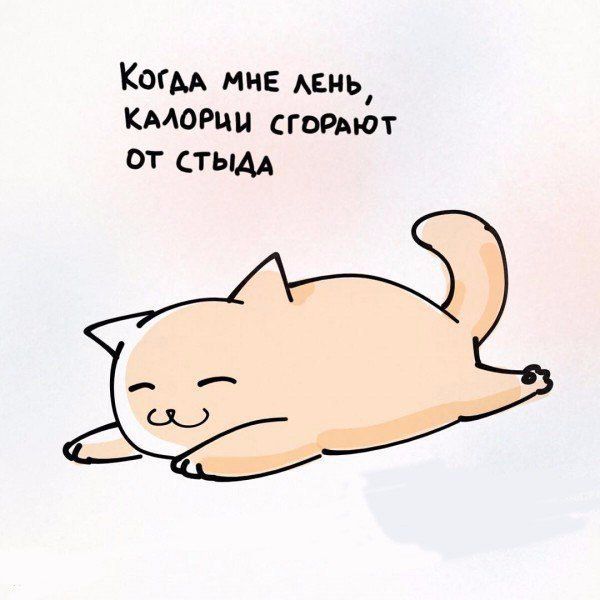 Когм миЕ АЕНЬ кмогци сгордют от сть