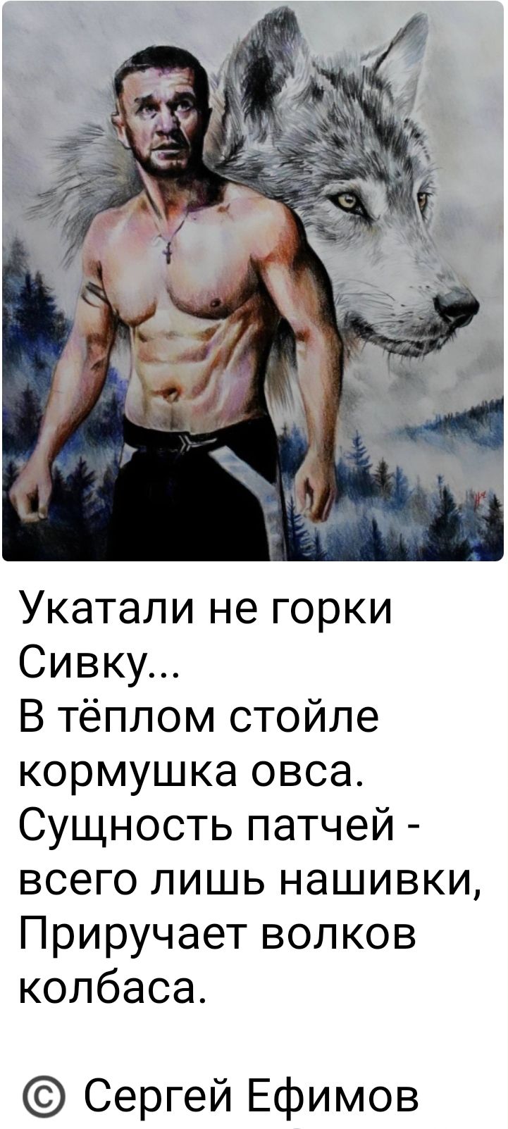 Укатали не горки Сивку В тёплом стойле кормушка овса Сущность патчей всего лишь нашивки Приручает волков колбаса Сергей Ефимов